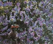 Lilacs